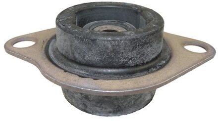 Renault Aslichaam-/motorsteunlager 49402614