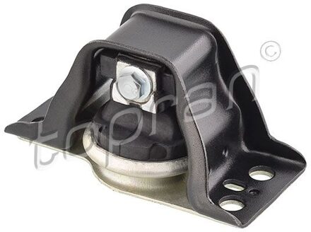 Renault Aslichaam-/motorsteunlager 701708