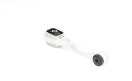 Renault Aslichaam-/motorsteunlager BSG75705030