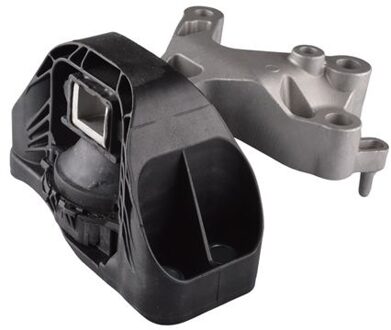 Renault Aslichaam-/motorsteunlager TED52841