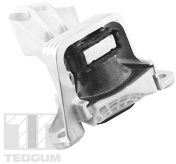 Renault Aslichaam-/motorsteunlager TED81471