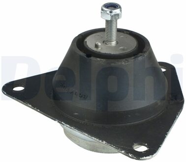 Renault Aslichaam-/motorsteunlager TEM035