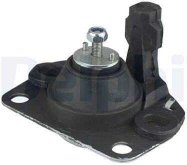 Renault Aslichaam-/motorsteunlager TEM038