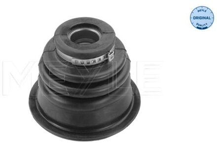 Renault Asmanchetten set 16144950007