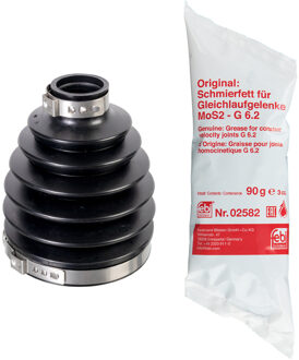 Renault Asmanchetten set 172465