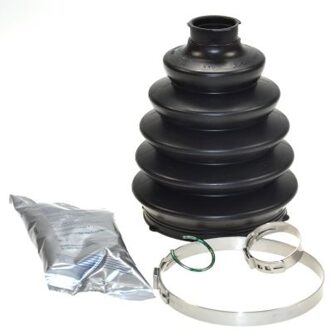 Renault Asmanchetten set 25594