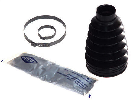 Renault Asmanchetten set 4003457