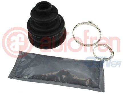 Renault Asmanchetten set D8110