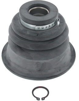 Renault Asmanchetten set