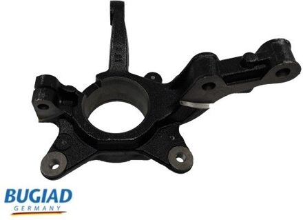 Renault Astap, wielophanging BSP25301