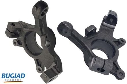 Renault Astap, wielophanging BSP25307