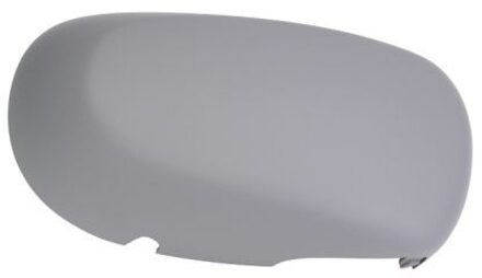 Renault Behuizing, buitenspiegel 6103011312179P