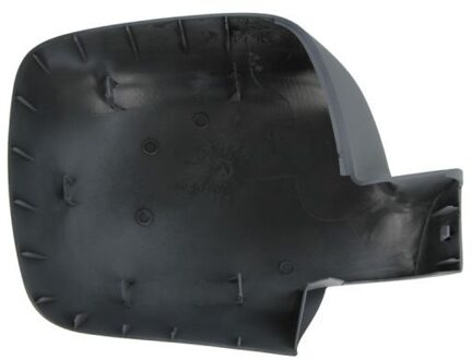 Renault Behuizing, buitenspiegel 6103011321113P