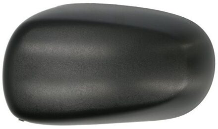 Renault Behuizing, buitenspiegel 6103011391179P