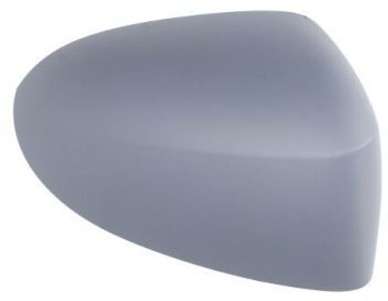 Renault Behuizing, buitenspiegel 6103092002206P