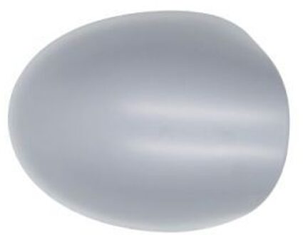 Renault Behuizing, buitenspiegel 6103092002218P