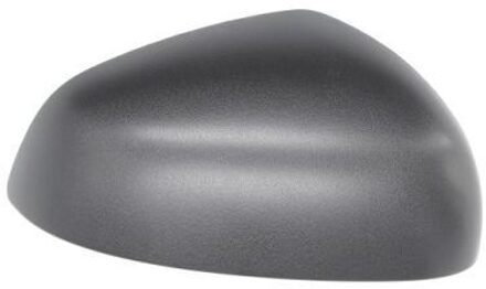 Renault Behuizing, buitenspiegel 6103092002248P