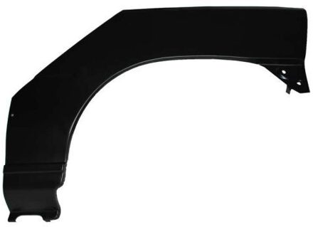 Renault Binnenspatscherm 6504036031591K