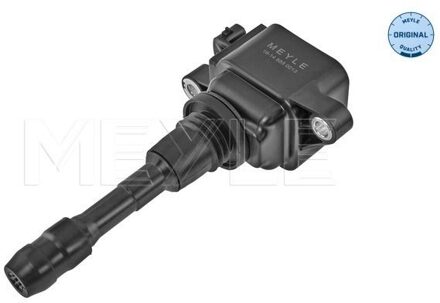 Renault Bobine 16148850013