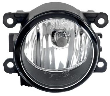 Renault Bochtenlicht 045185