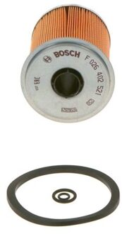 Renault Brandstoffilter N2521