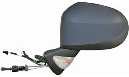 Renault Buitenspiegel 4405425