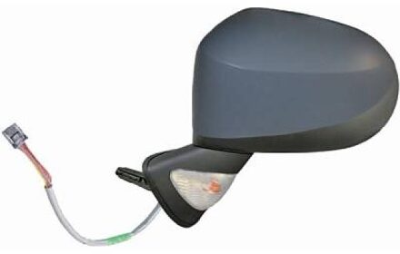 Renault Buitenspiegel 4405525