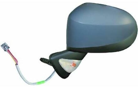 Renault Buitenspiegel 4405625