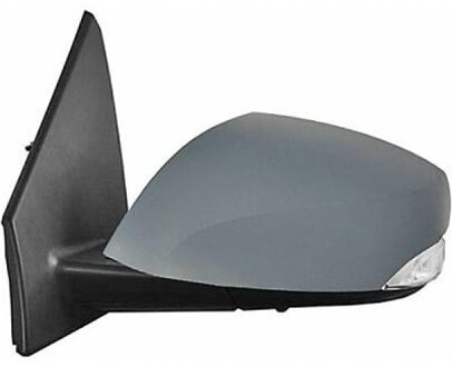 Renault Buitenspiegel 4465325