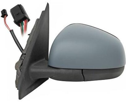 Renault Buitenspiegel 4481525