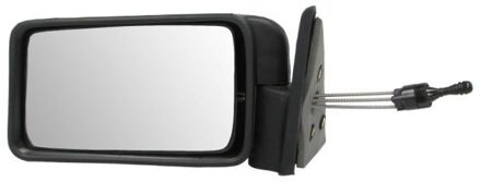 Renault Buitenspiegel 5402041112172P