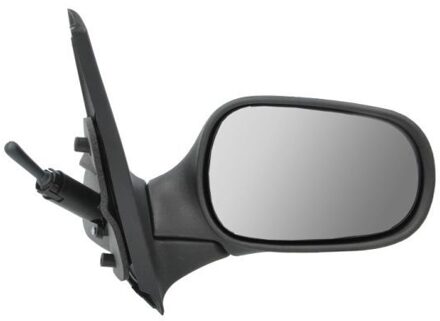 Renault Buitenspiegel 5402041115112P