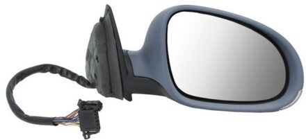 Renault Buitenspiegel 5402041115115P