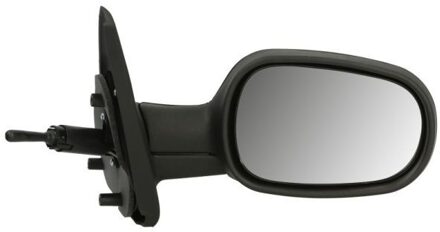 Renault Buitenspiegel 5402041115221P