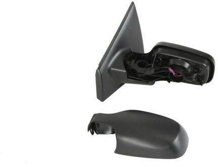 Renault Buitenspiegel 5402041121174P