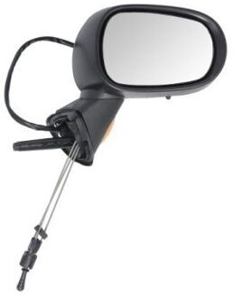 Renault Buitenspiegel 5402041121179P