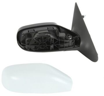 Renault Buitenspiegel 5402041121235P