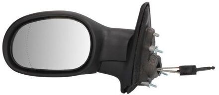 Renault Buitenspiegel 5402041121533P