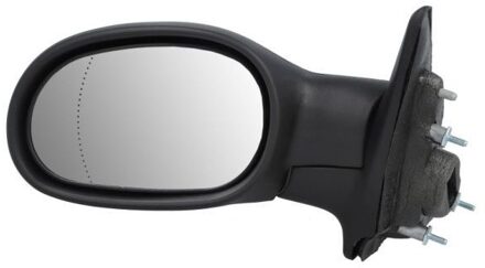 Renault Buitenspiegel 5402041121535P