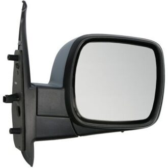 Renault Buitenspiegel 5402041121546P