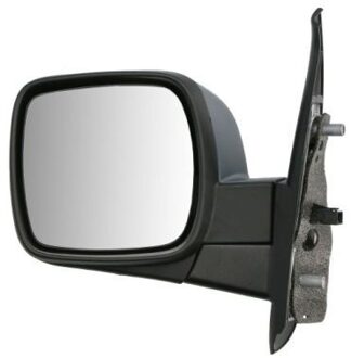 Renault Buitenspiegel 5402041121549P