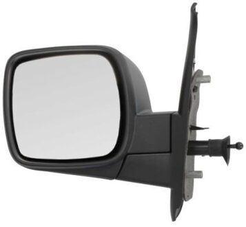 Renault Buitenspiegel 5402041121561P