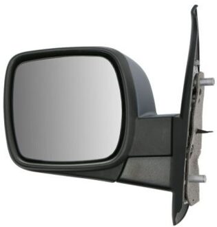 Renault Buitenspiegel 5402041121563P