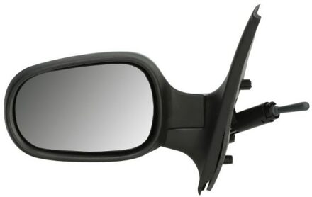 Renault Buitenspiegel 5402041121571P