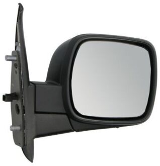 Renault Buitenspiegel 5402041121579P