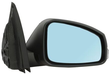 Renault Buitenspiegel 5402041121584P