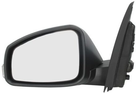 Renault Buitenspiegel 5402041121585P