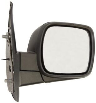 Renault Buitenspiegel 5402041121586P