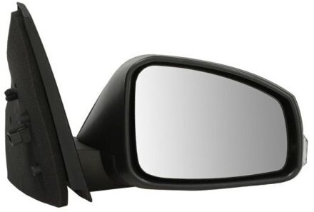 Renault Buitenspiegel 5402041121587P