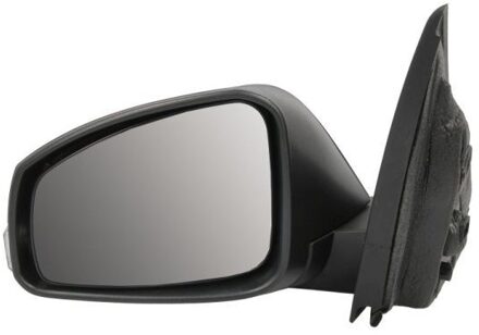 Renault Buitenspiegel 5402041121607P